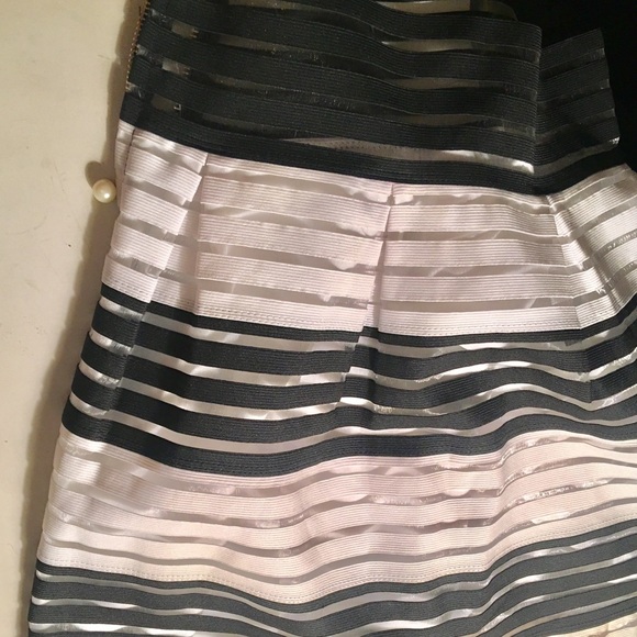 NWT Elegant Stripe Sheer Skirt - Picture 6 of 7